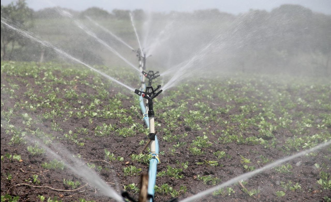 Rinnovabili • Irrigazione smart