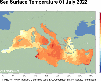 Ondata di calore marino: Mediterraneo bollente, anche 6,5°C sopra la media