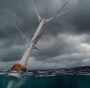 nuove turbine eoliche offshore