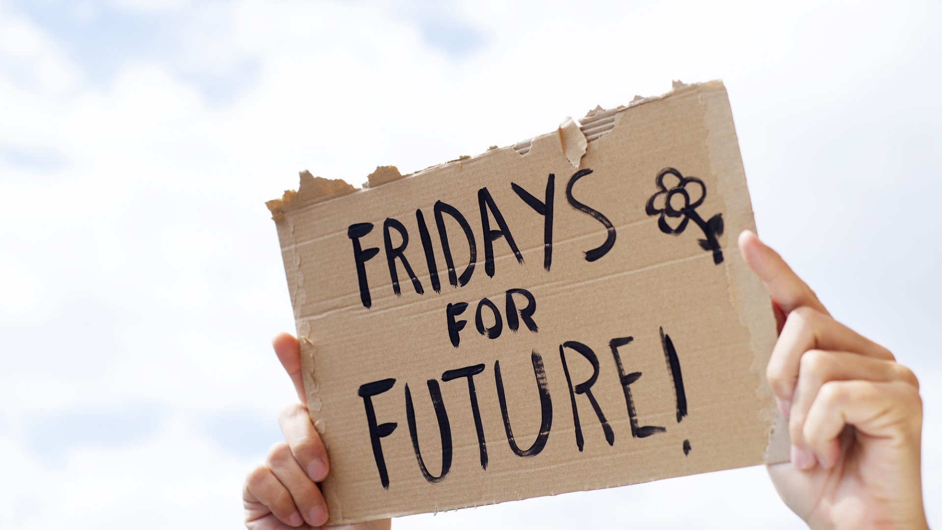 Rinnovabili • Fridays for Future Italia
