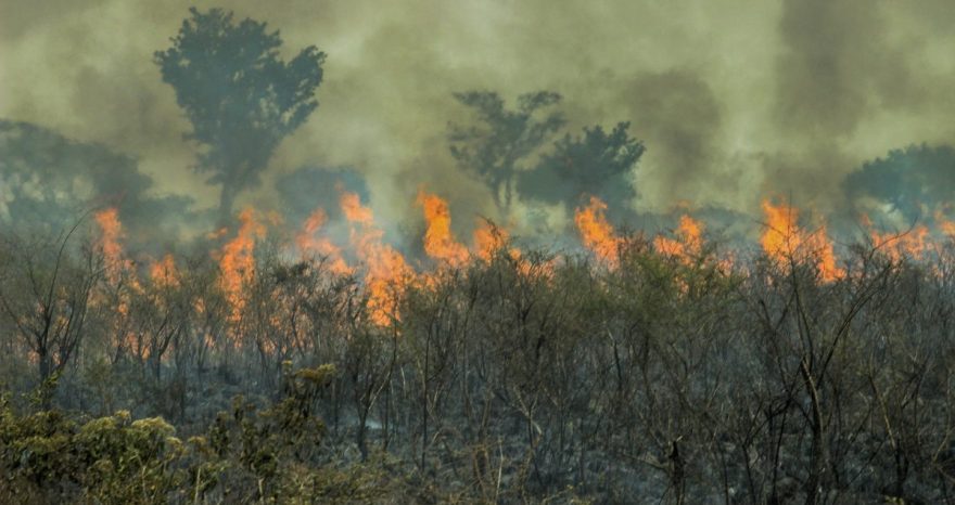 Rinnovabili • Incendi in Amazzonia: già superati i roghi registrati in tutto il 2021