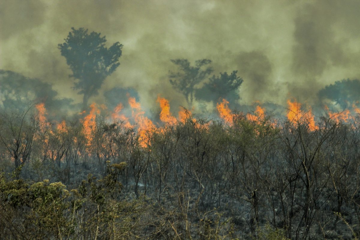 Incendi in Amazzonia: già superati i roghi registrati in tutto il 2021