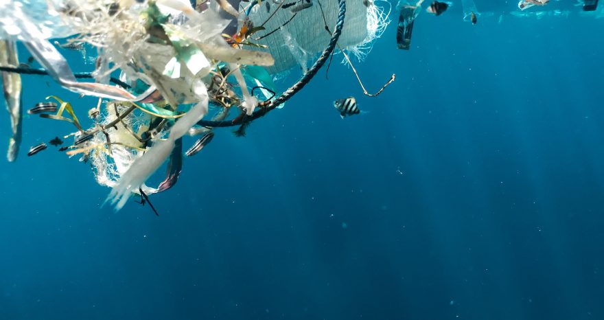 Rinnovabili • Degradazione della plastica e acidificazione degli oceani