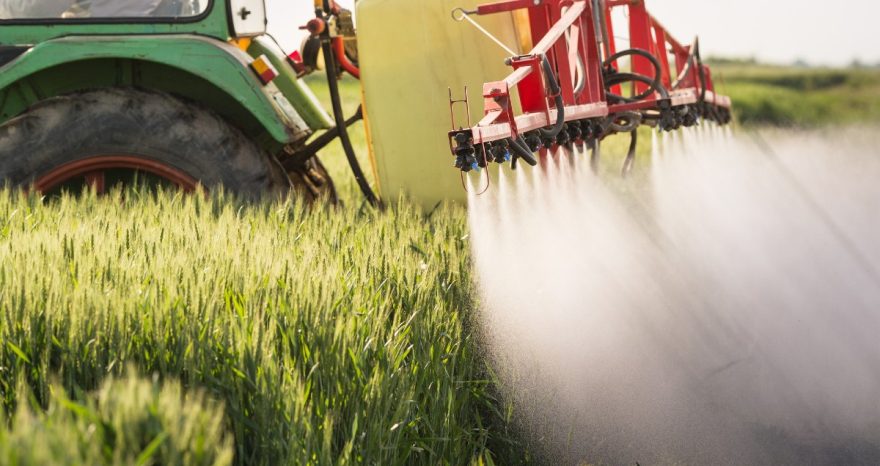 Rinnovabili • Pesticidi sintetici: 1 mln di firme per cancellarli dall’UE entro il 2035