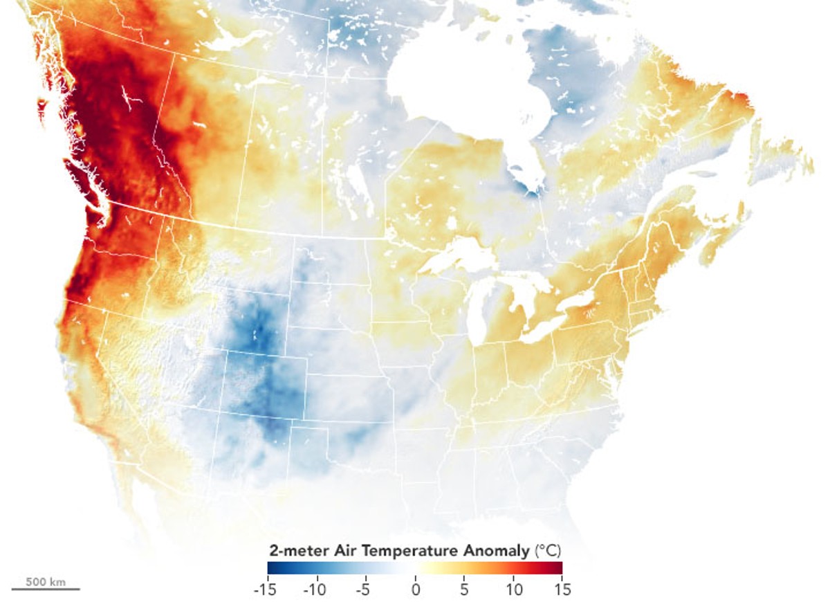 Caldo estremo: i 46,6°C in Canada? Succederà ogni 10 anni