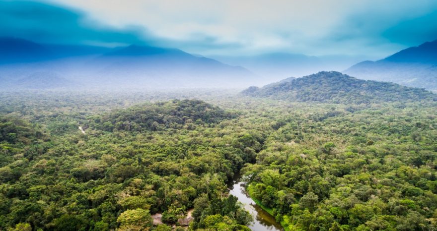 Rinnovabili • Deperimento dell’Amazzonia: sarà a macchia di leopardo