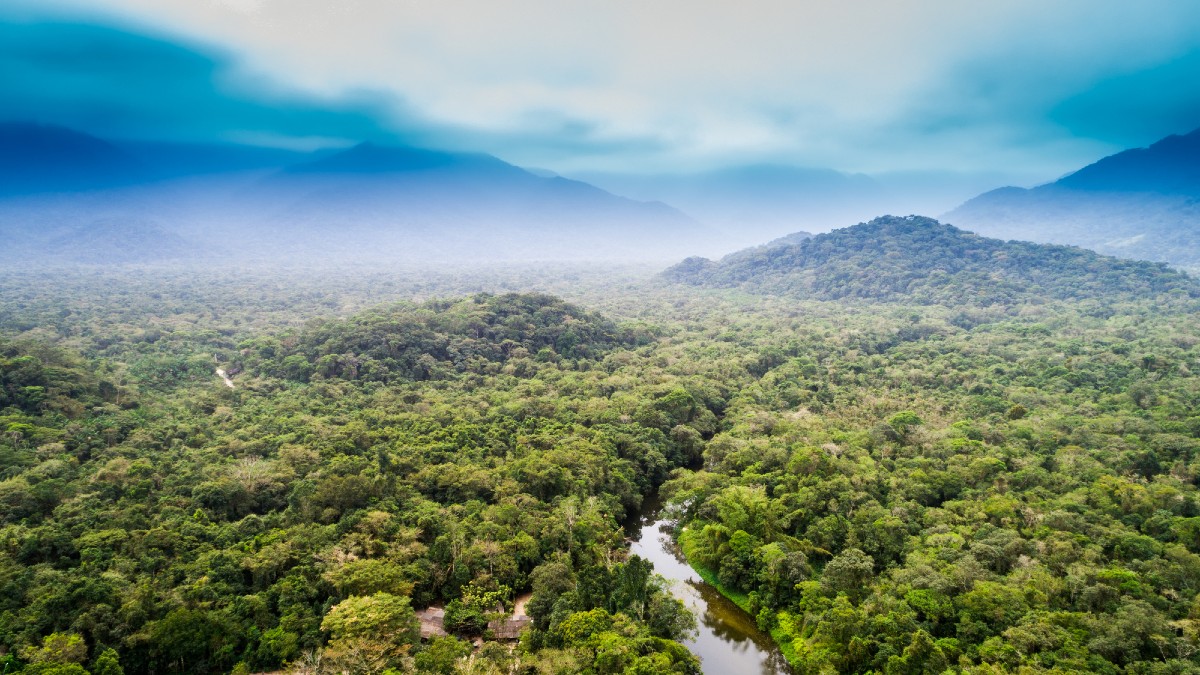 Rinnovabili • Deperimento dell’Amazzonia: sarà a macchia di leopardo