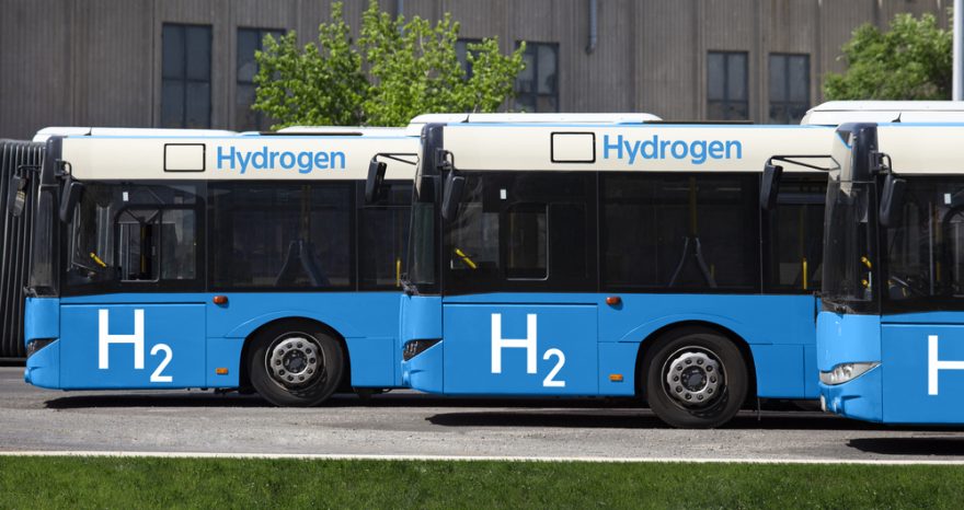 Rinnovabili • Autobus idrogeno