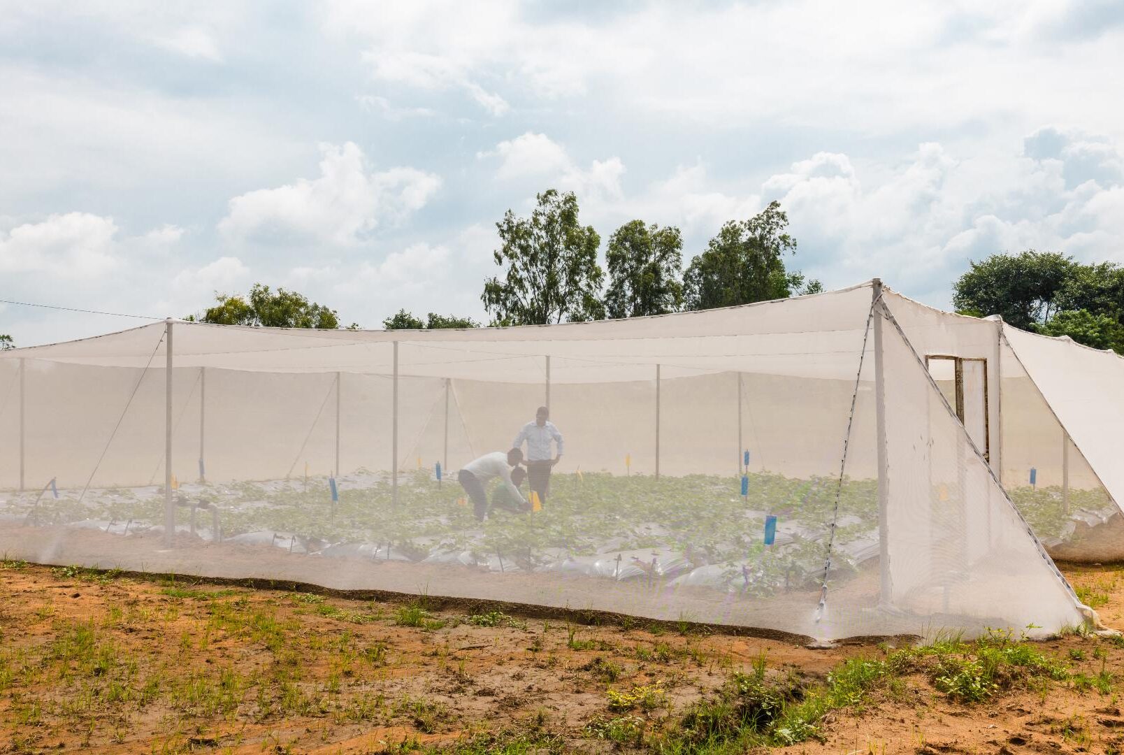 cambiamenti climatici