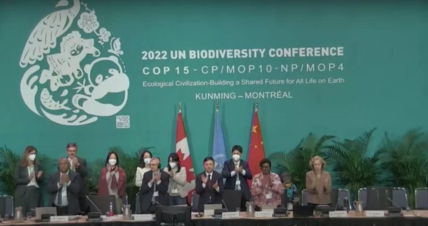 Rinnovabili • Patto globale sulla natura: la COP15 di Montreal approva il Global Biodiversity Framework