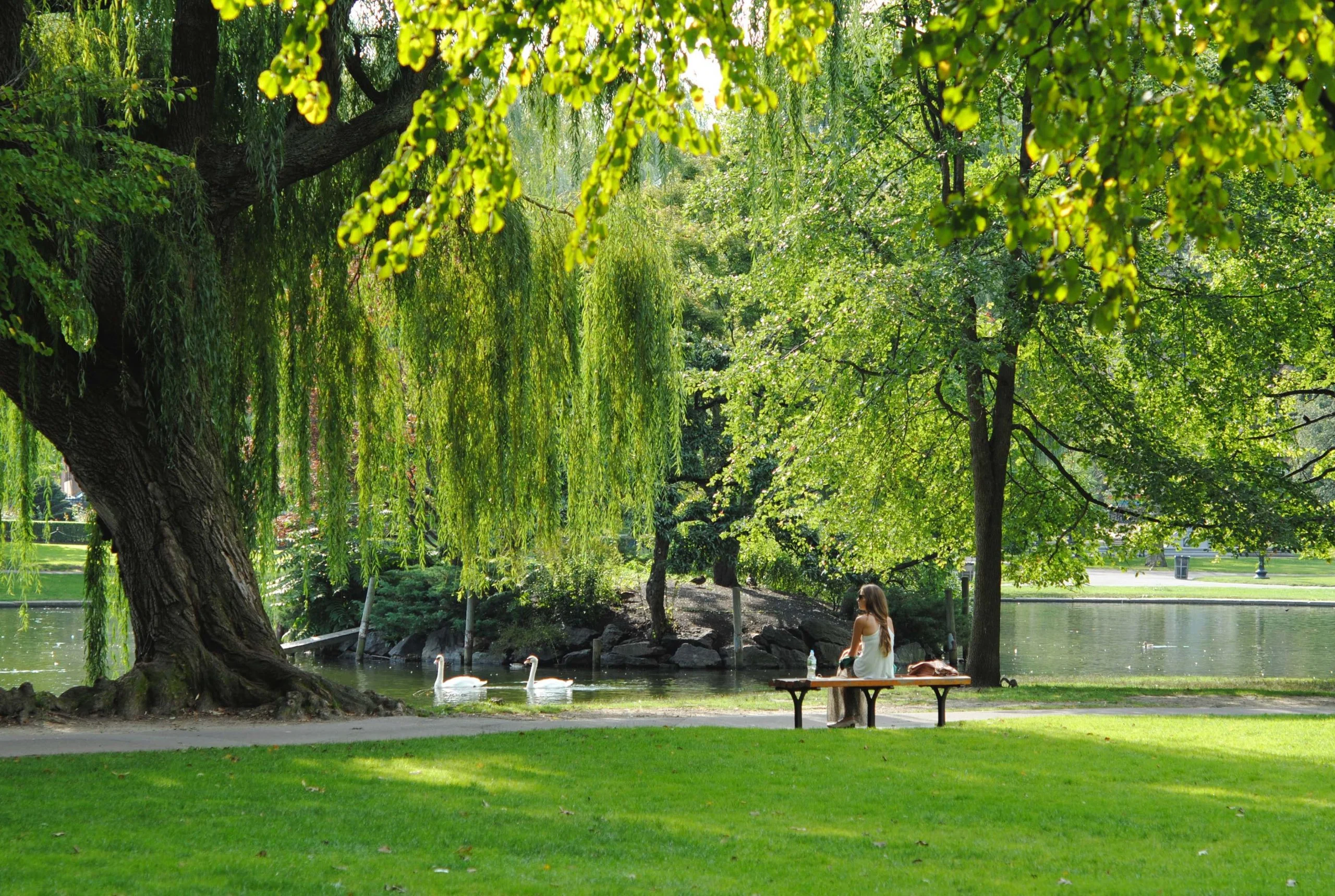 Libro Bianco del Verde, la natura nelle città