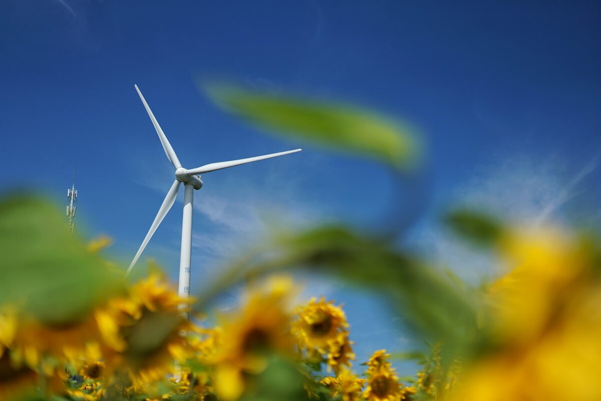 Rinnovabili • Mix elettrico europeo: nel 2022, sole e vento frenano il carbone