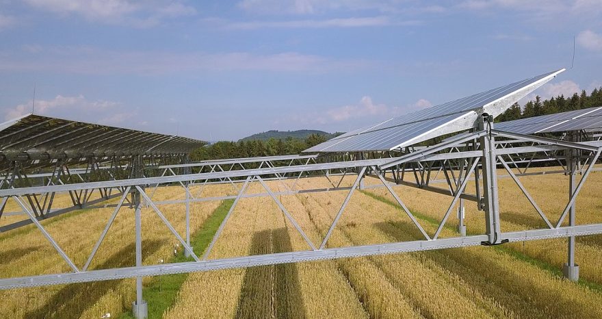 Rinnovabili • pannelli solari agrivoltaici