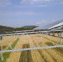 pannelli solari agrivoltaici