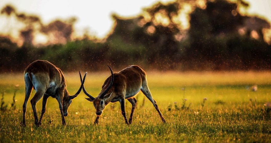 Rinnovabili • meteo agricoltura Africa