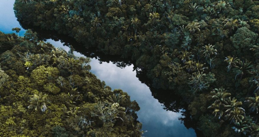 Rinnovabili • Nesso tra deforestazione e piogge: una condanna per le foreste tropicali?
