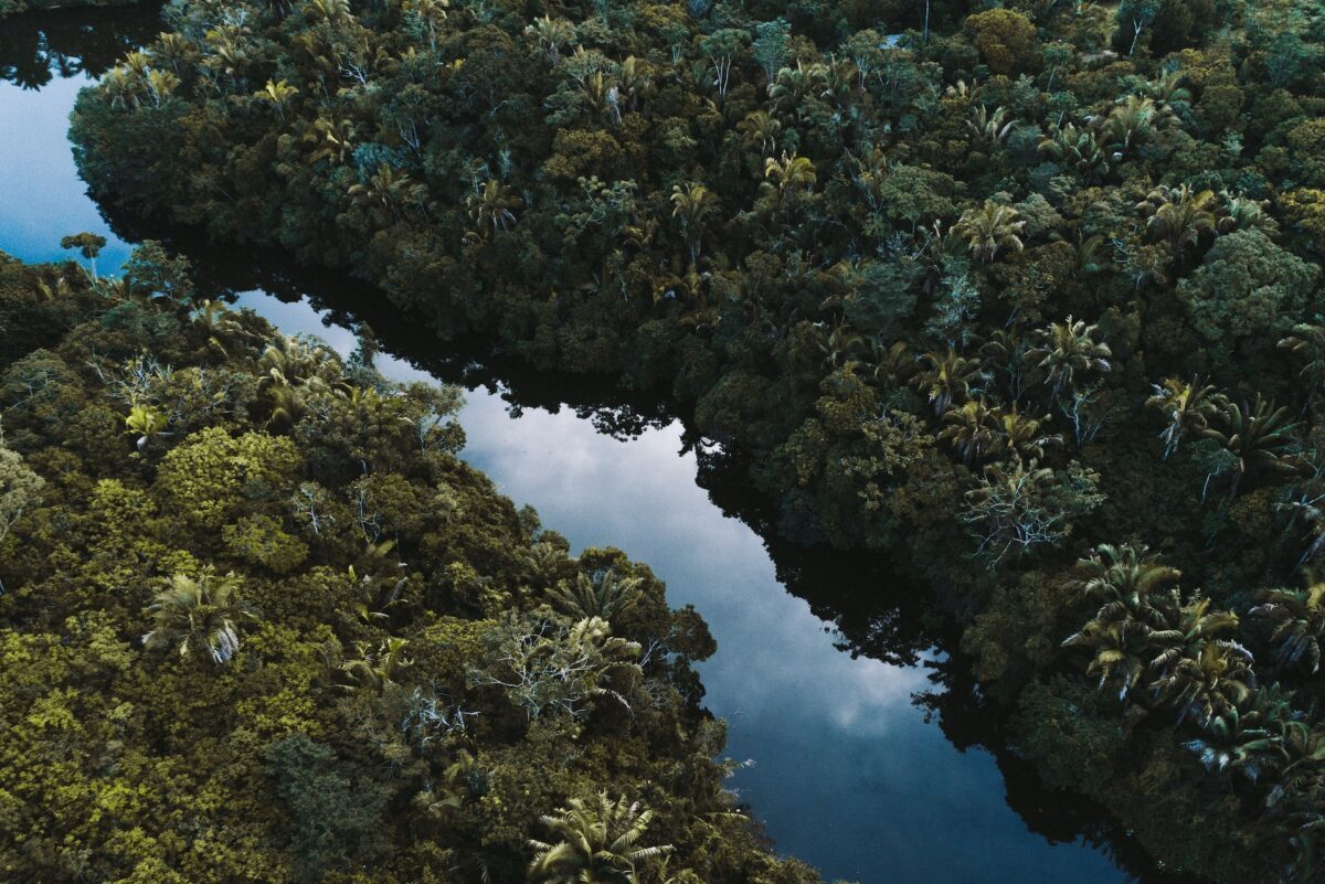 Rinnovabili • Nesso tra deforestazione e piogge: una condanna per le foreste tropicali?