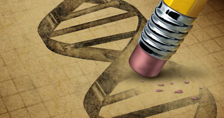 Rinnovabili • OGM 2.0: pronte 2 pdl per sdoganare il gene editing in Italia