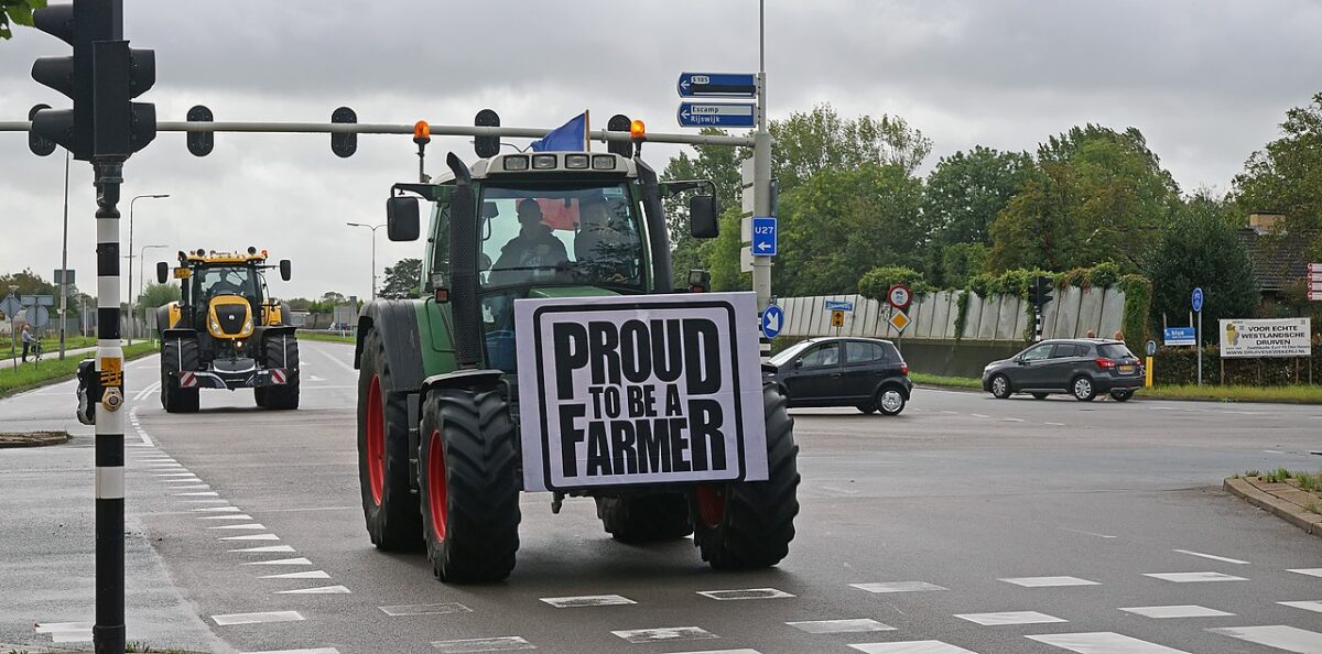 Protesta degli allevatori olandesi: i populisti di BBB si prendono il senato