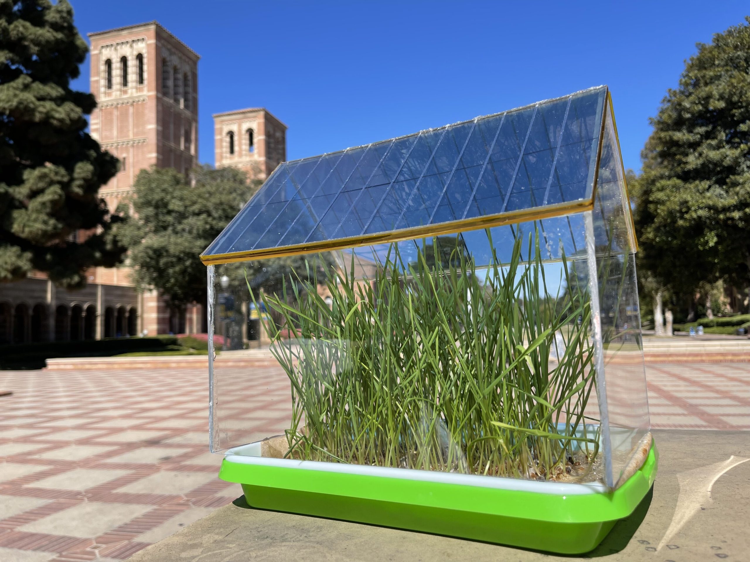 Techos fotovoltaicos semitransparentes