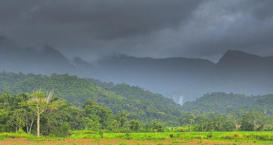 Rinnovabili • Foreste del Centro America: perderanno il 62% dei servizi ecosistemici al 2100