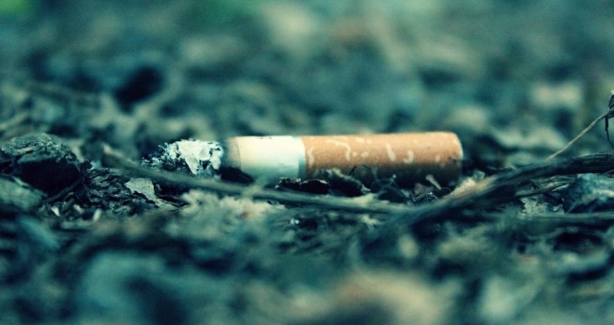 Rinnovabili • mozziconi di sigaretta
