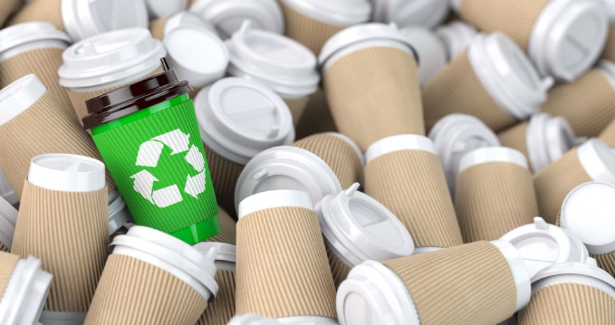 Rinnovabili • Come sostituire gli imballaggi in plastica