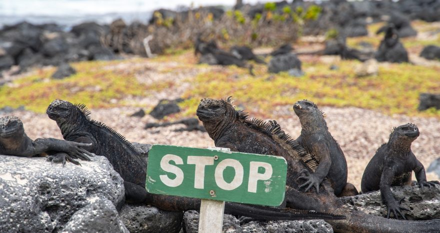 Rinnovabili • Accordo debt-for-nature: 650 mln $ per proteggere le Galapagos