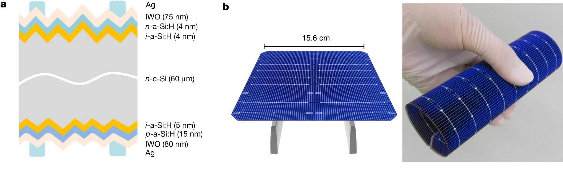 Rinnovabili • celle solari flessibili in silicio cristallino