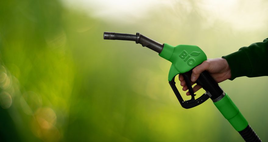 Rinnovabili • Biocarburanti auto