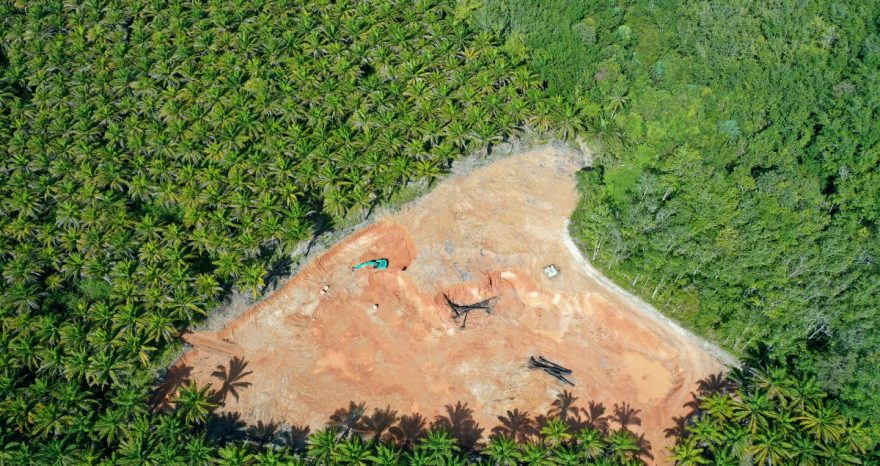 Rinnovabili • Distruzione foresta tropicale primaria: spariti 11 campi da calcio al minuto