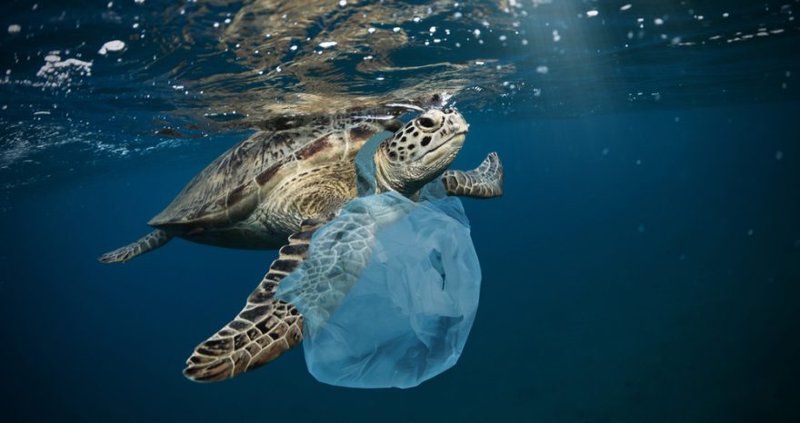 Rinnovabili • plastica negli oceani