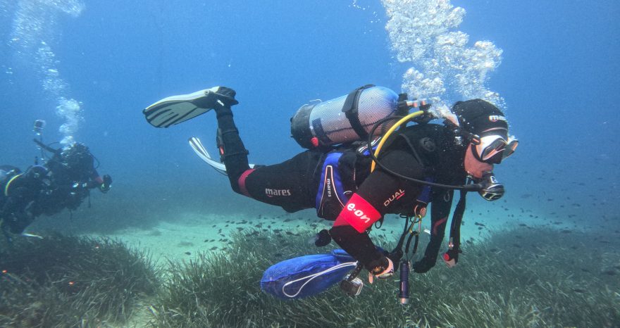 Rinnovabili • Posidonia oceanica