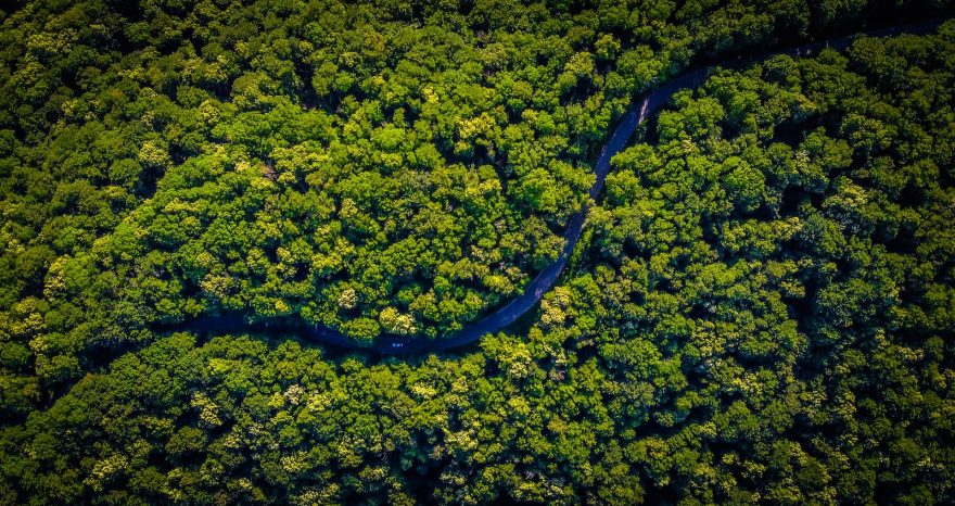 Rinnovabili • Deforestazione dell’Amazzonia: il ruolo delle banche globali