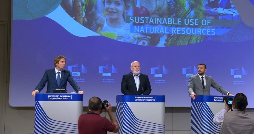 Rinnovabili • Proposta UE sui nuovi OGM: Bruxelles sdogana le TEA