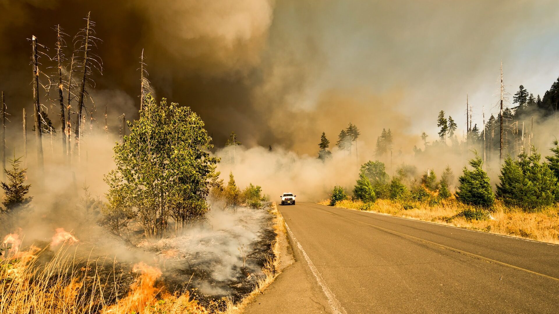 Rinnovabili • relazioni tra incendi e cambiamento climatico