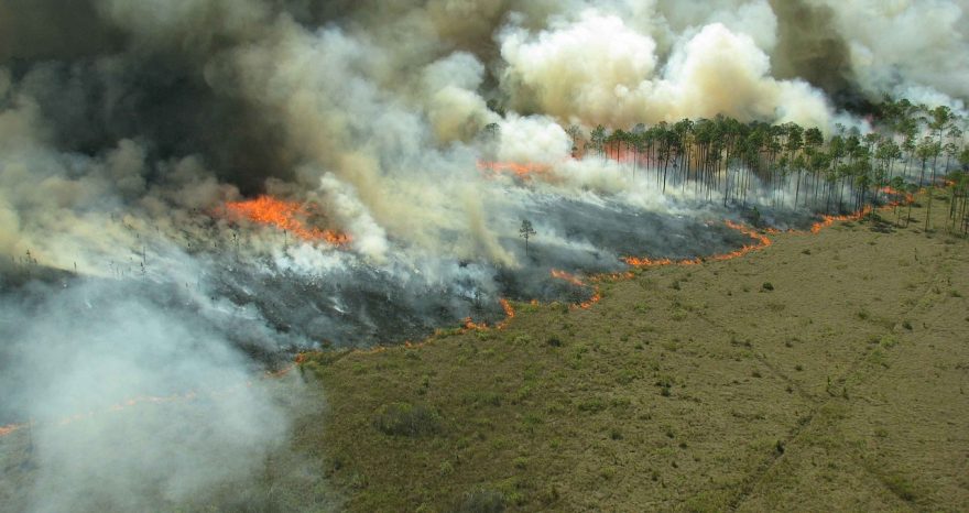 Rinnovabili • Tipping point dell’Amazzonia: il problema sono gli incendi