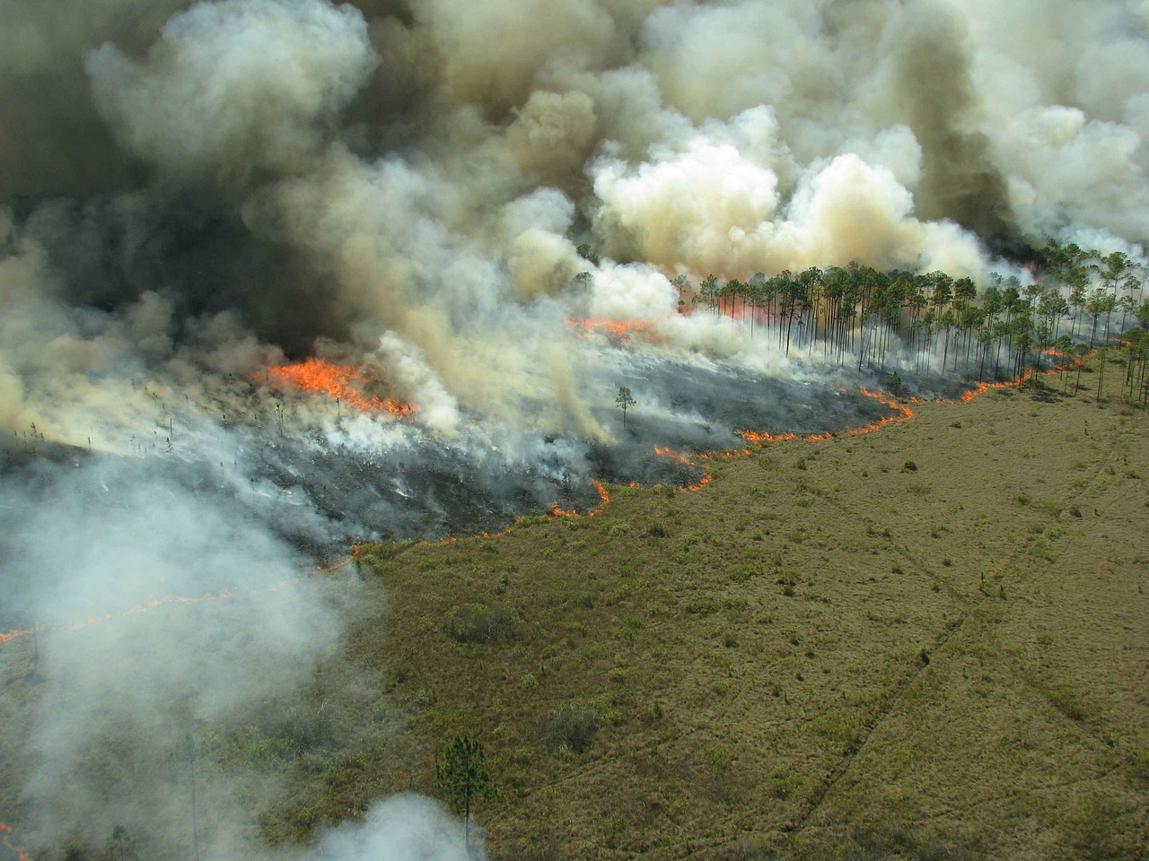 Tipping point dell’Amazzonia: il problema sono gli incendi