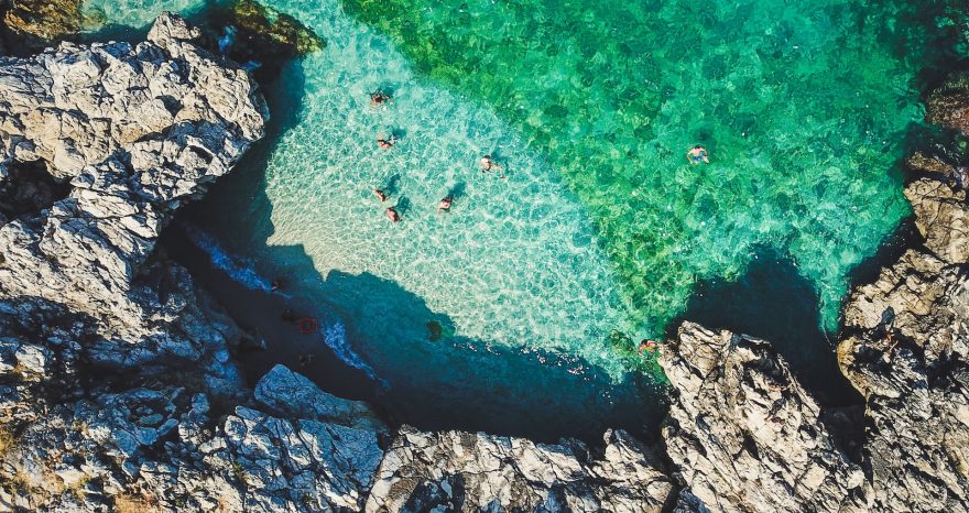 Rinnovabili • Stato dei mari italiani: bene i coralli, Posidonia sotto stress