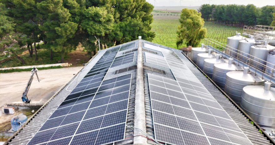 Rinnovabili • fotovoltaico agricolo