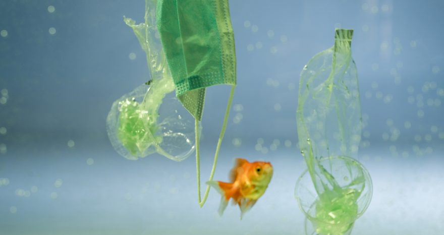 Rinnovabili • bioplastiche in mare