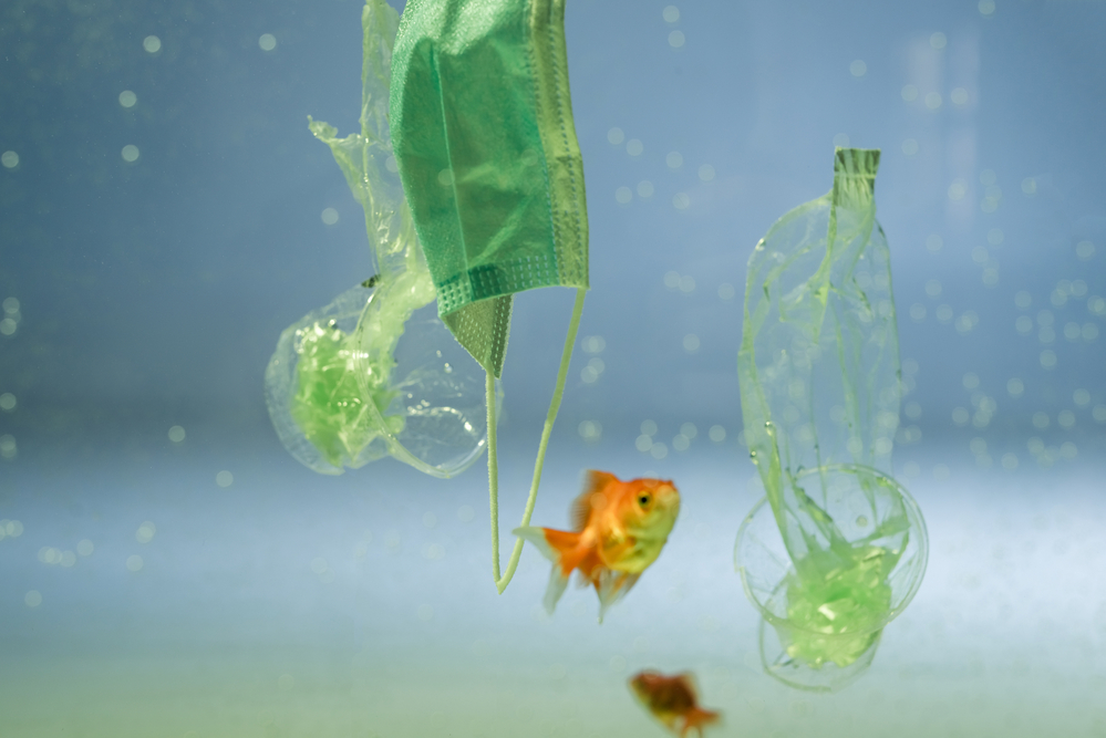 Rinnovabili • bioplastiche in mare