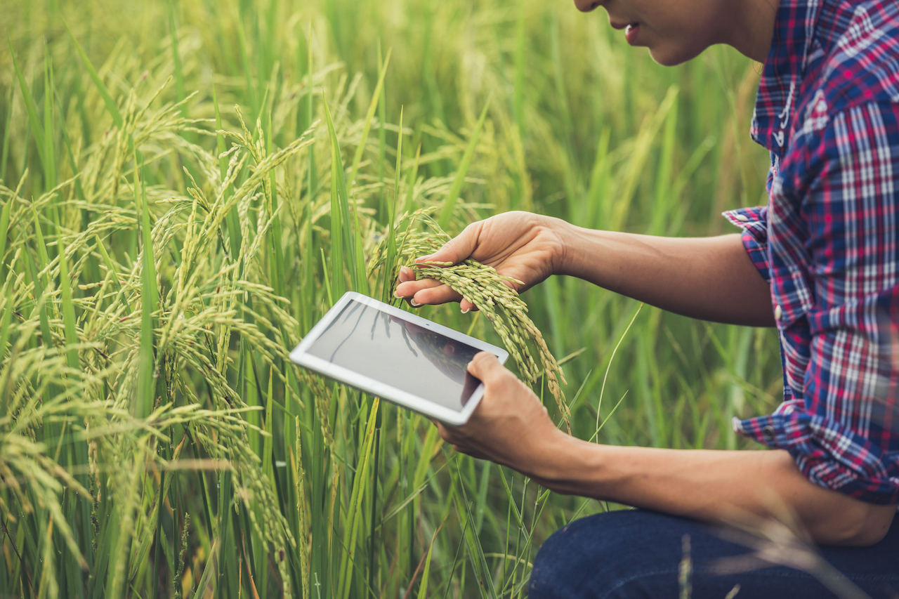 farming future