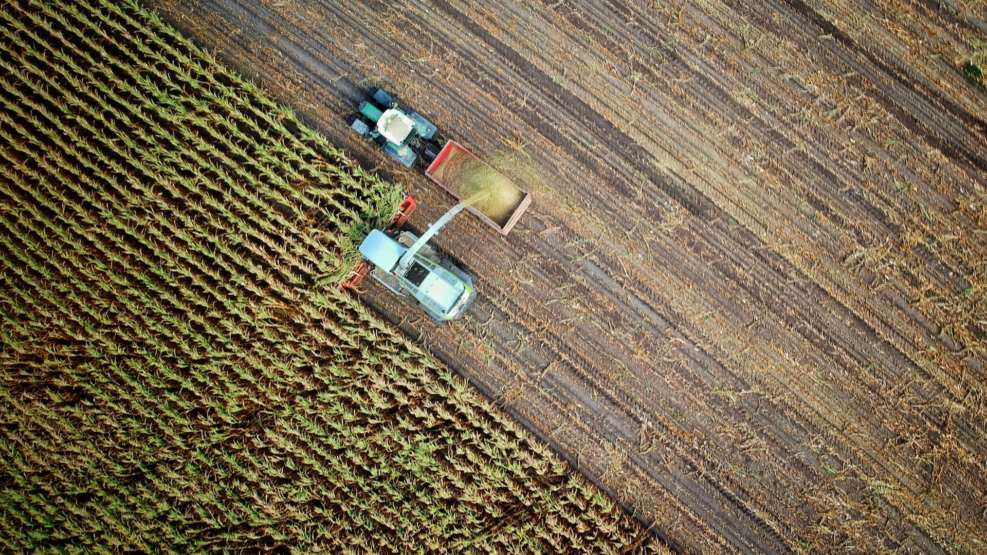 Rinnovabili • Politica agricola comune: l’OCSE boccia 10 anni di PAC