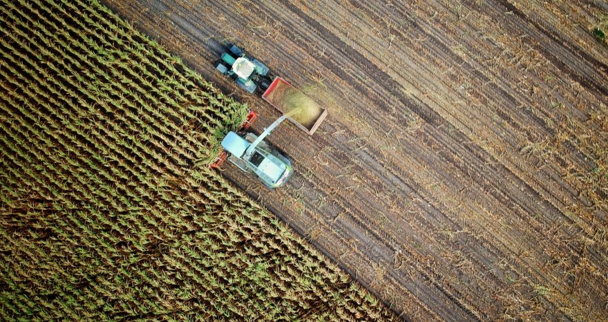 Rinnovabili • Politica agricola comune: l’OCSE boccia 10 anni di PAC