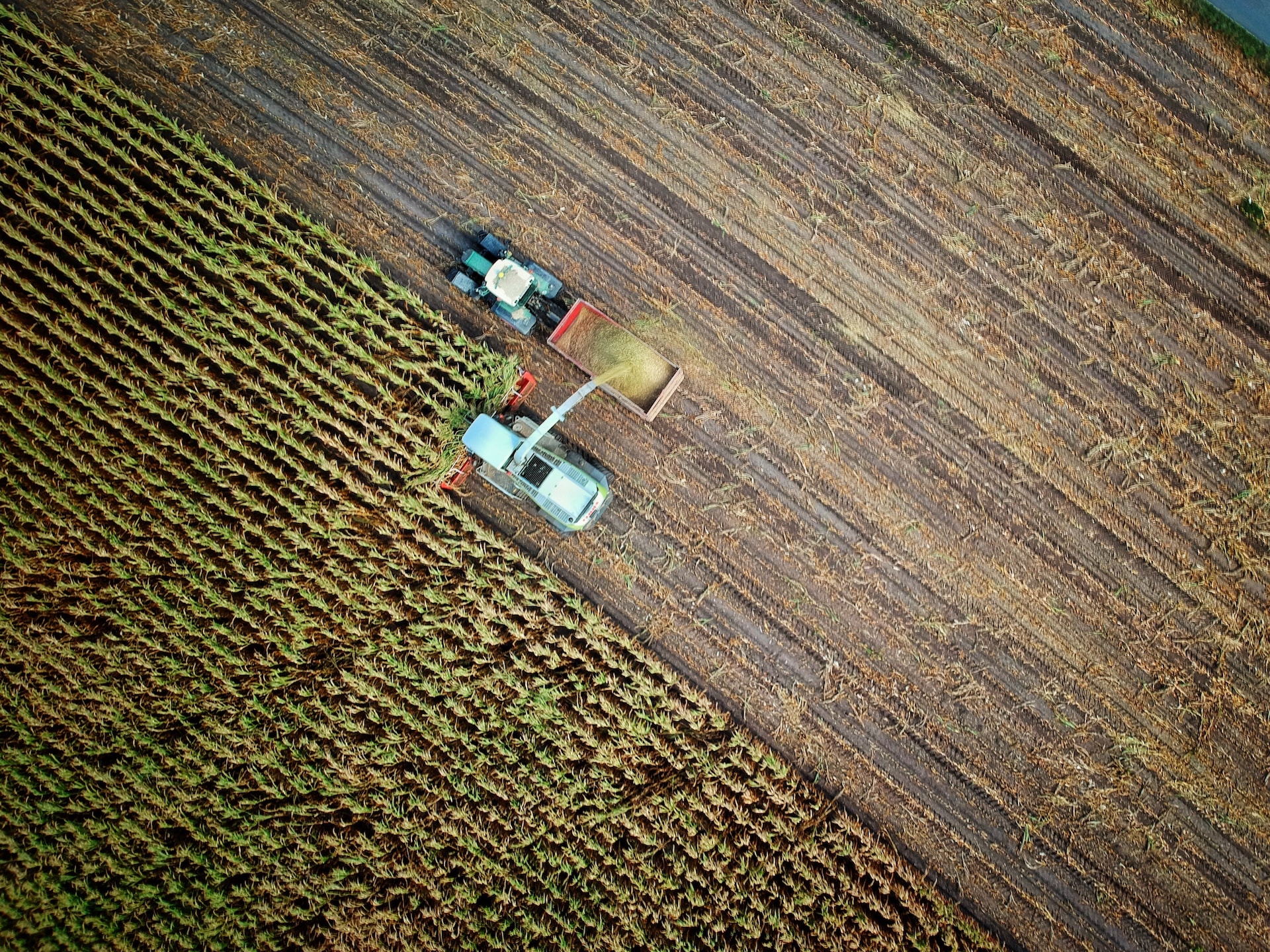 Politica agricola comune: l’OCSE boccia 10 anni di PAC