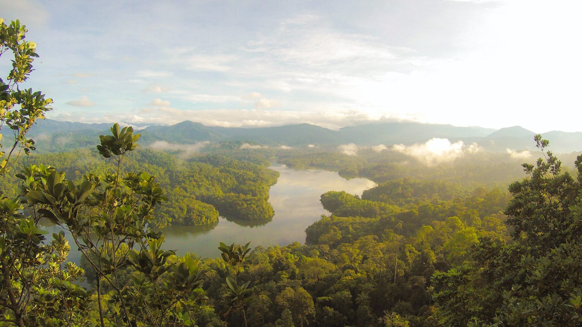 Rinnovabili • Tutela foreste pluviali: più cooperazione tra Amazzonia, Congo e sud-est Asia