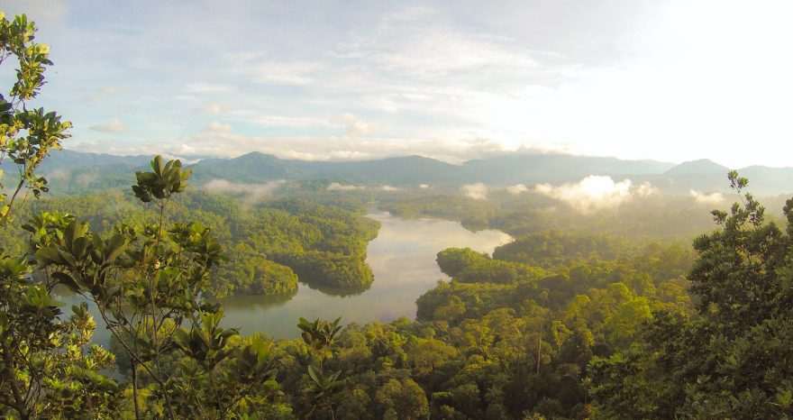 Rinnovabili • Tutela foreste pluviali: più cooperazione tra Amazzonia, Congo e sud-est Asia