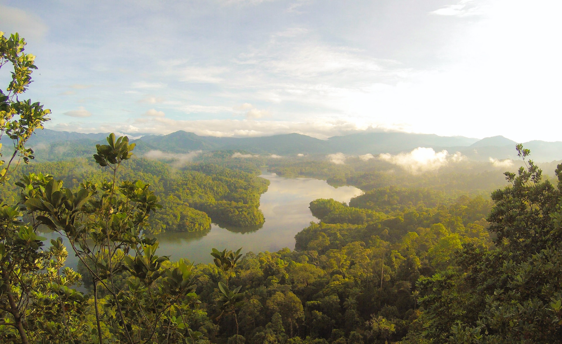 Tutela foreste pluviali: più cooperazione tra Amazzonia, Congo e sud-est Asia