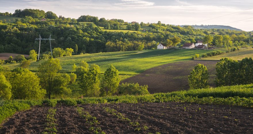 Rinnovabili • agroalimentare italiano